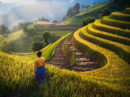 Unveiling Vietnam's Heritage in 14 days (All-inclusive Package)