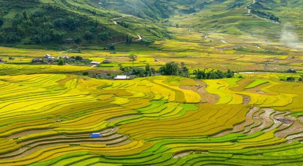 Day 5: TREKKING FROM TA VAN TO GIANG TA CHAI AND SU PAN - TRAVEL BACK TO HANOI (B/L) - trekking-from-ta-van-to-giang-ta-chai-and-su-pan-travel-back-to-hanoi-bl-MTlbdaDZ.jpg
