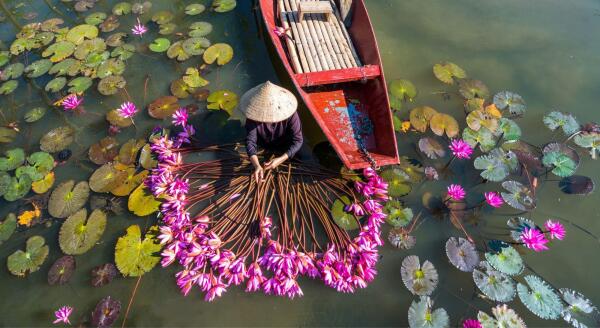 Day 6: HOA LU – TAM COC DAY TRIP (B/L) – GROUP TOUR - hoa-lu-tam-coc-day-trip-bl-group-tour-ZdHire4a.jpg