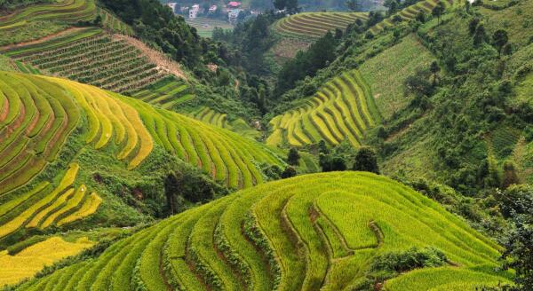 Day 3: HANOI SAPA BY LIMOUSINE (B) - hanoi-sapa-by-limousine-b-N4zuT5CY.jpg