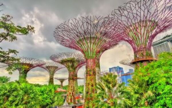 Day 2: Singapore’s Community Enclaves - singapores-community-enclaves-AYQFQtV2.jpg