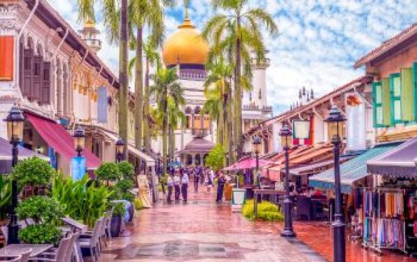 Day 3: Little India and Malay Historic Quarters - little-india-and-malay-historic-quarters-gnAjYjna.jpg