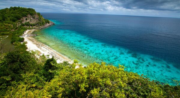 Day 7: Dumaguete – Apo Island Tour (B/L) - dumaguete-apo-island-tour-bl-grpk1wwV.jpg