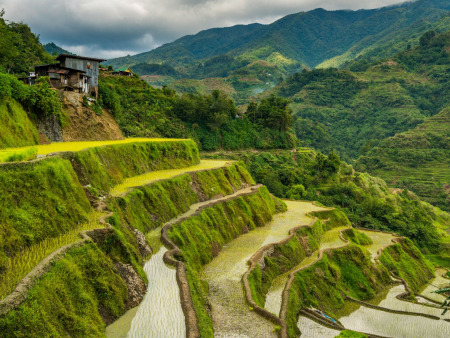 Cordillera Panorama: Mountain Heritage of the Philippines in 5 Days