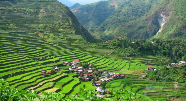 Day 4: Banaue – Batad (Breakfast, Lunch, Dinner) - banaue-batad-breakfast-lunch-dinner-ulf87PxK.jpg