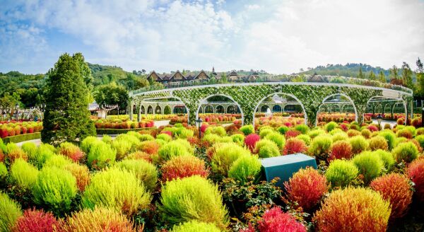 Day 3: Tranquility, History, and Heritage (B) - everland-adventure-and-seoul-shopping-CDRbUJOS.jpg
