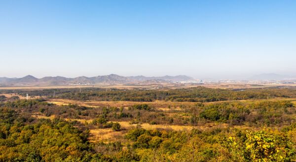 Day 11: Seoul (B)  - seoul-b-il7CHdbf.jpg