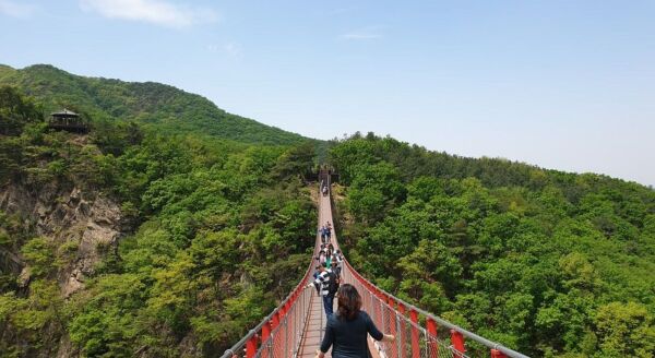 Day 11: Seoul (B)  - seoul-b-PhJKJuOR.jpg