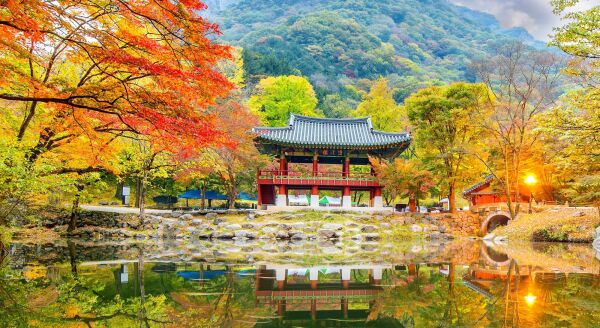 Day 3: Jeonju - Gwangju (B) - bridges-chilies-temple-whispers-jeonju-gwangju-b-wDWm8LrG.jpg