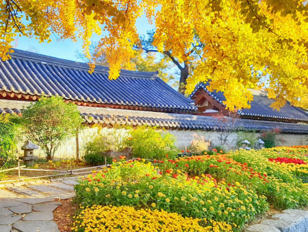6 Days of Culinary Culture & Korean Heritage