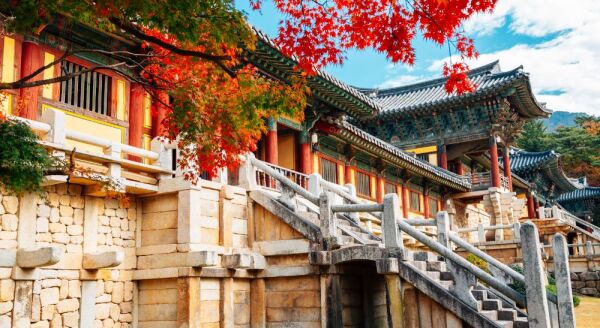Day 5: Gyeongju - Busan (B) - gyeongju-busan-b-POzshCEx.jpg
