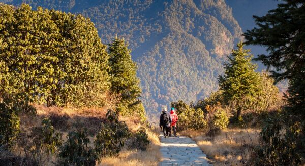 Day 6: Sunrise Hike to Poon Hill and Trek to Tadapani (2630 m) (B,L,D) - sunrise-hike-to-poon-hill-and-trek-to-tadapani-2630-m-bld-j1wSfwi4.jpg