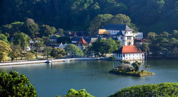 Day 5: A Garden in the Hills: Kandy – Full Day (B) - a-garden-in-the-hills-kandy-full-day-j42FYcv3.jpg