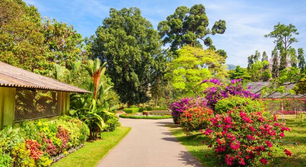 Day 5: A Garden in the Hills: Kandy – Full Day (B) - a-garden-in-the-hills-kandy-full-day-b-oMi12NQ9.jpg