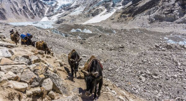 Day 9: A Trek to the Last Stop Before Everest Base Camp - Gorak Shep  (B,L,D) - a-trek-to-the-last-stop-before-everest-base-camp-gorak-shep-bld-El0PknXH.jpg