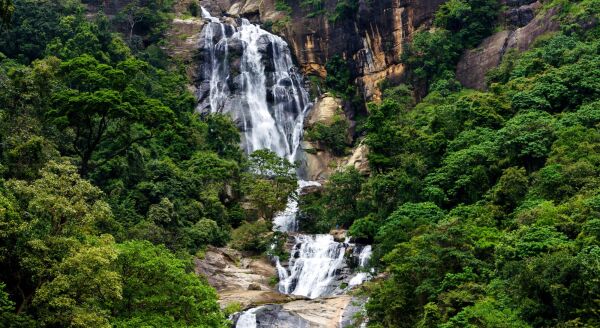 Day 3: Tea Trails & Highland Tales: Kandy - Nuwara Eliya (B-D) - tea-trails-highland-tales-kandy-nuwara-eliya-b-d-No5p0JJn.jpg