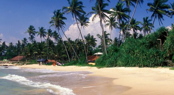 Day 7: Waves of Freedom: Beruwala (B) - waves-of-freedom-beruwala-b-zoKAmvDw.jpg