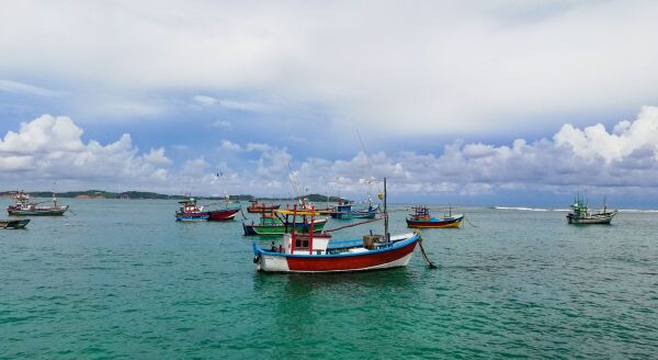 Day 7: Waves of Freedom: Beruwala (B) - waves-of-freedom-beruwala-b-GNMtYqpz.jpg