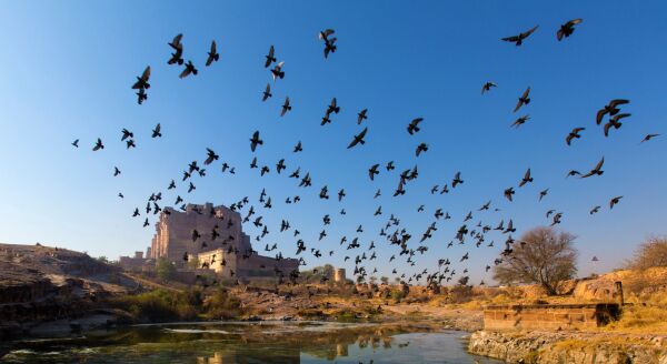 Day 3: Drive to Jodhpur – Through the Desert Highway - drive-to-jodhpur-through-the-desert-highway-P21WZktc.jpg
