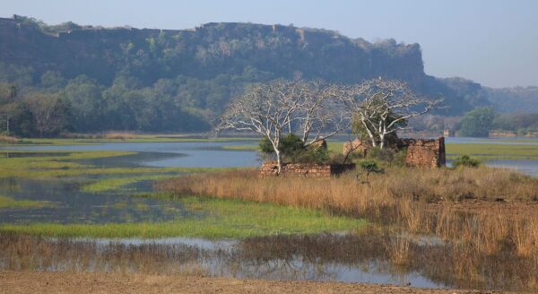 Day 5: Ranthambore Safari & Drive to Jaipur - ranthambore-safari-drive-to-jaipur-iaaosI1K.jpg