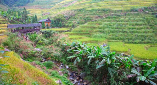 Day 10: GUILIN (B) - guilin-b-MoJEHz0l.jpg