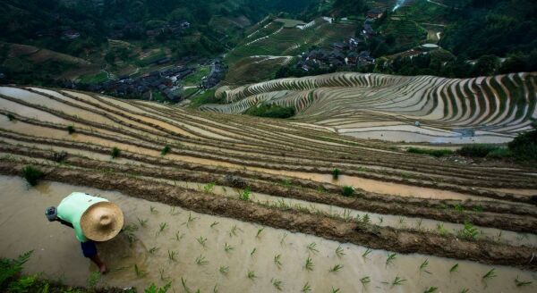 Day 10: GUILIN (B) - guilin-b-tgQTOJch.jpg