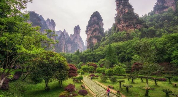 Day 8: ZHANGJIAJIE (B/L) - zhangjiajie-bl-Mu05D3gA.jpg