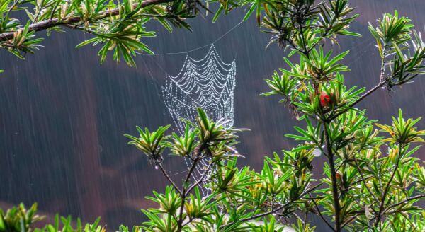 Day 9: Yangtze River Cruise (B/L/D) - yangtze-river-cruise-bld-x0Ln5fq1.jpg