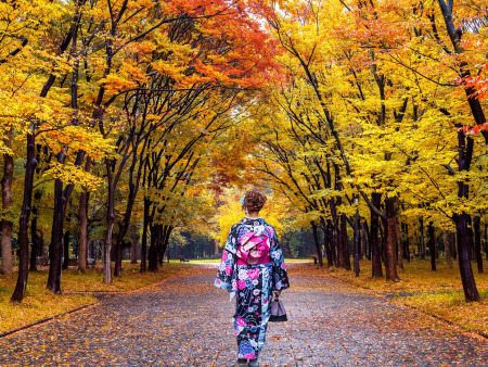 7-Day Budget Japan