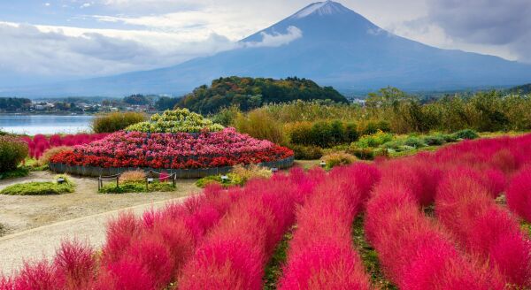 Day 3: Majestic Mount Fuji & Lakeside Serenity - majestic-mount-fuji-lakeside-serenity-ou4Ycekp.jpg