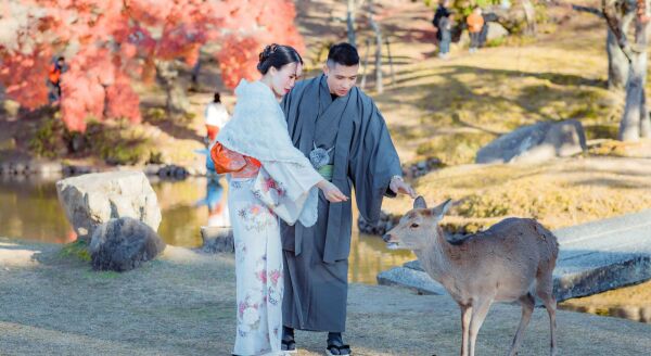 Day 16: Kyoto & Nara Highlights - kyoto-nara-highlights-Pvjsi6tg.jpg