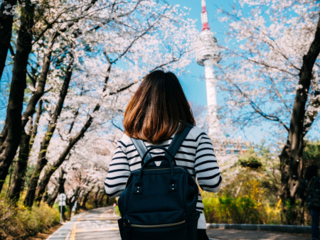 10 Day South Korea & Japan Tour