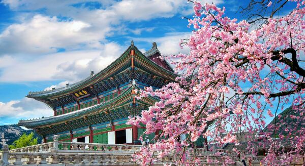 Day 1: Arrival in Seoul - arrival-in-seoul-pzidfJOI.jpg