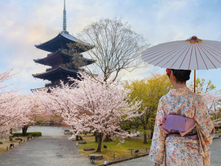 13 Day Cultural Japan