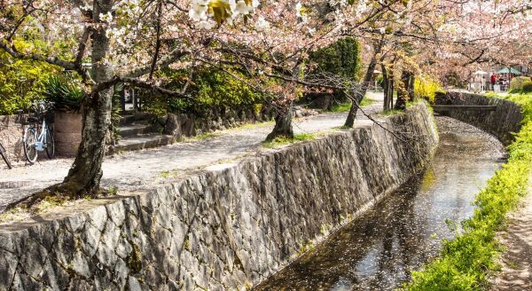 Day 16: Free Day in Kyoto - free-day-in-kyoto-YQpW3hdr.jpg