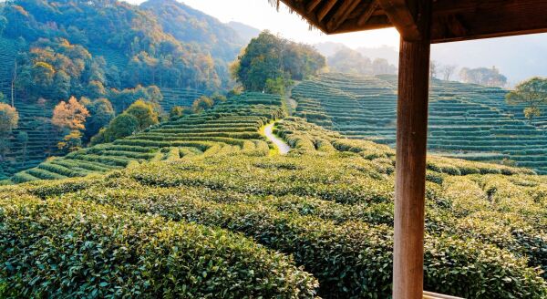 Day 4: A Day in Enchanting Hangzhou - a-day-in-enchanting-hangzhou-yW91oj74.jpg