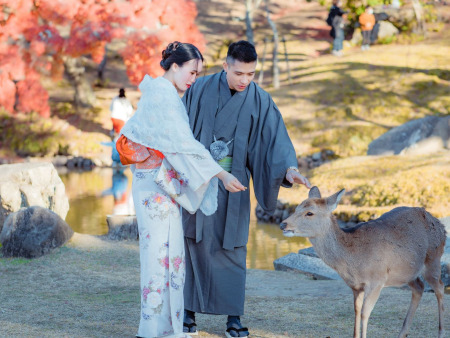 14 Day Best of Japan – The Golden Route