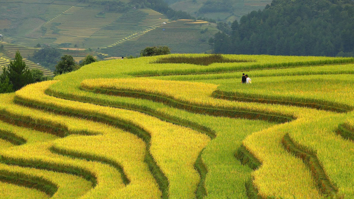 Luxurious Sapa Sojourn: Peaks, Valleys & Pampered Exploration (Part 2)