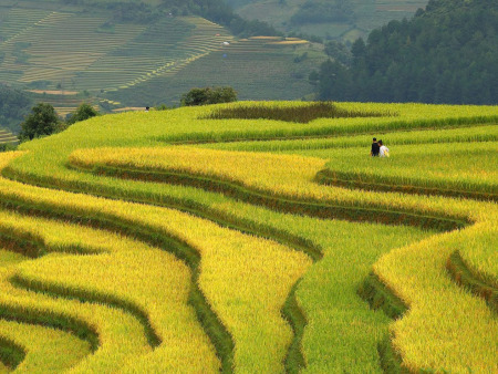 Luxurious Sapa Sojourn: Peaks, Valleys & Pampered Exploration (Part 2)