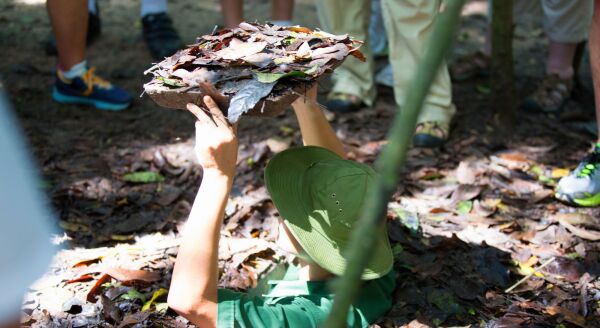 Day 9: EXPLORE THE FASCINATING CU CHI TUNNELS (B) - GROUP TOUR - explore-the-fascinating-cu-chi-tunnels-b-group-tour-0dZUHMLT.jpg