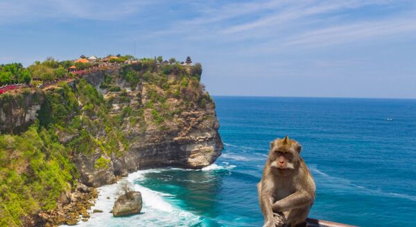Day 13: NATURE AND CULTURAL BALI TOUR (B,L,D) - nature-and-cultural-bali-tour-bld-fQYkzB9q.jpg