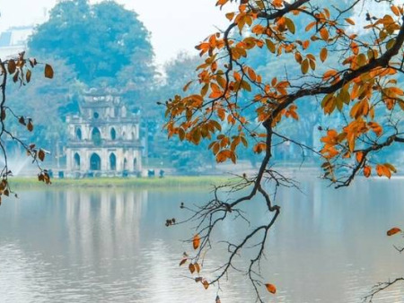 Vietnam Aqua Life In 10 Days