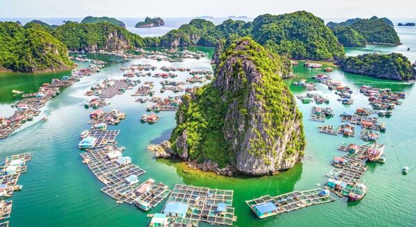 Day 4: LAN HA BAY - VIET HAI VILLAGE - VAN BOI BEACH (B/L/D) SHARING CRUISE, BUS - lan-ha-bay-viet-hai-village-van-boi-beach-bld-sharing-cruise-bus-0gpHzykO.jpg