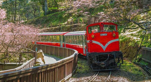 Day 5: From Rails to Relics – Alishan to Changhua & Taichung - from-rails-to-relics-alishan-to-changhua-taichung-MXWFYeFP.jpg