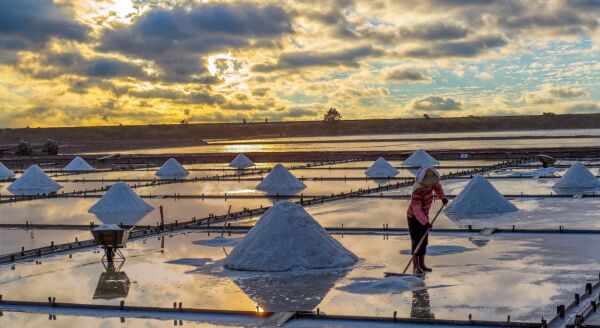 Day 4: Nature, Spirituality & Taiwan’s Salt Heritage - nature-spirituality-taiwans-salt-heritage-SKo5nDhF.jpg