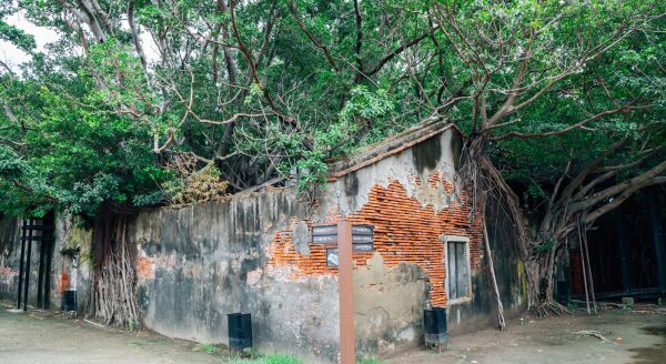 Day 2: Tainan’s Living History – Temples, Forts & Ancient Streets - tainans-living-history-temples-forts-ancient-streets-t2gOq3mw.jpg