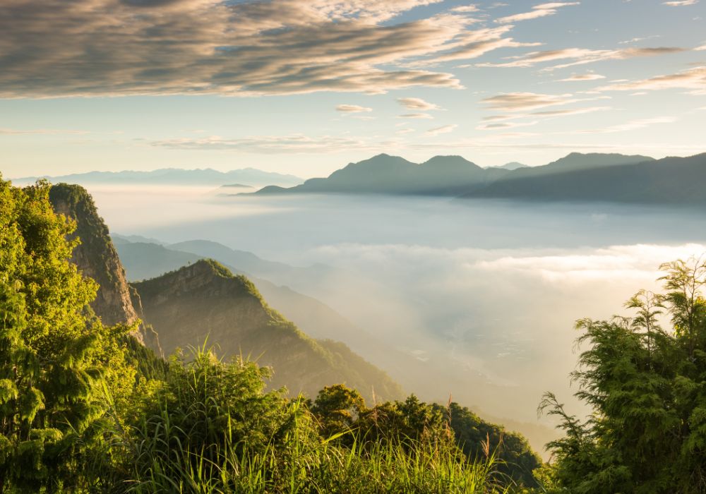 Alishan forest echoes: the sunrise & sacred trees