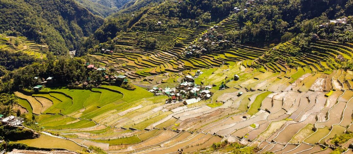 Banaue Rice Terraces