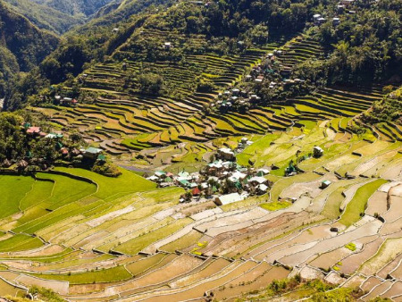 Banaue Rice Terraces