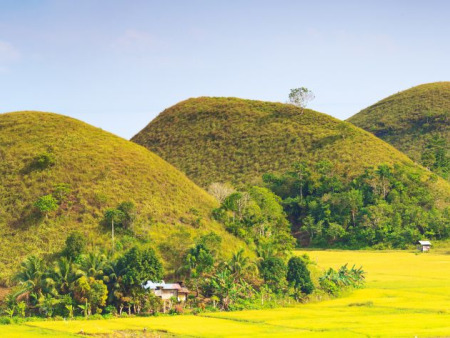 Bohol Chocolate Hills Travel Guide for U.S. Travelers